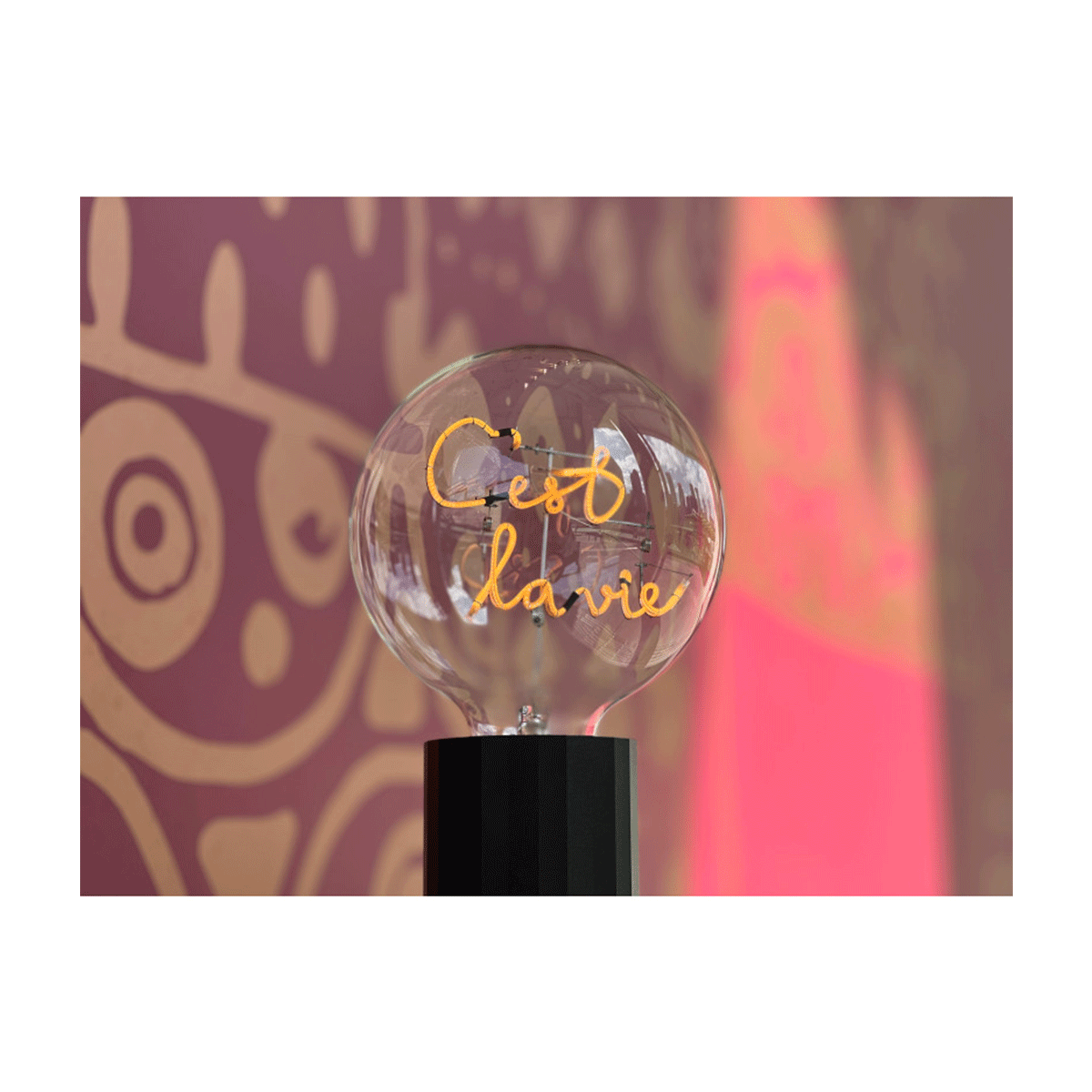 4110626_4897089366730_P_3