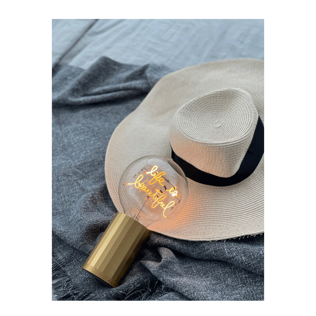 4110627_4897089369922_P_2