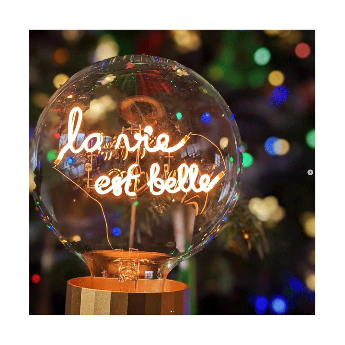 4110628_4897089366778_P_2