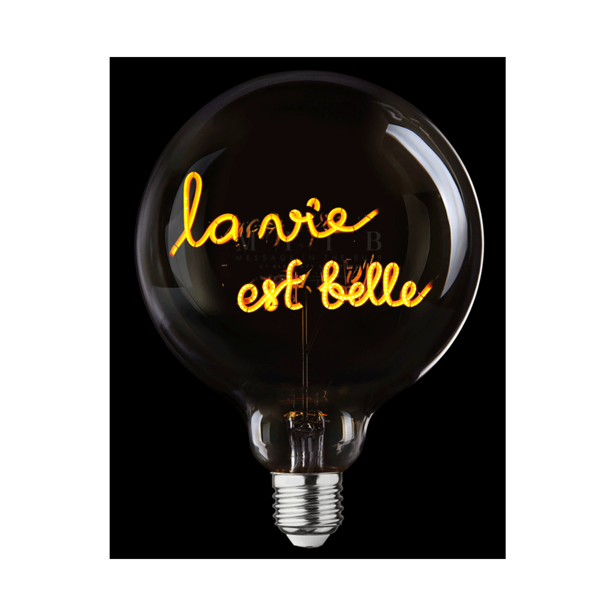 4110628_4897089366778_P_3