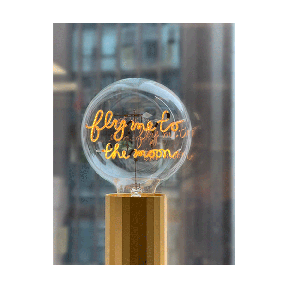 4110630_4897089367812_P_2