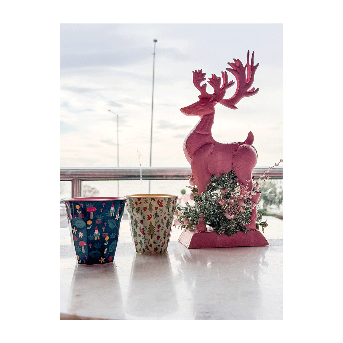 3743465_5708315247824_1