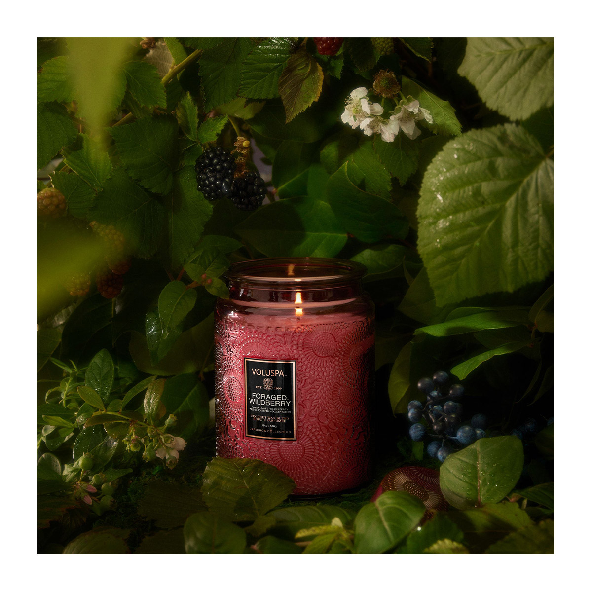 4025515_0806644737391_P_3