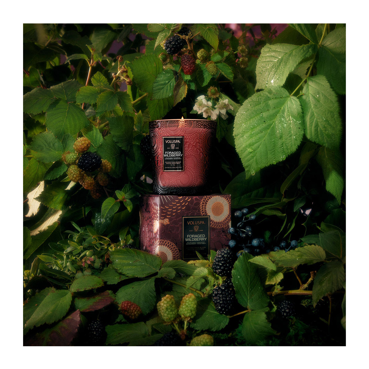 4025549_0806644734390_P_4